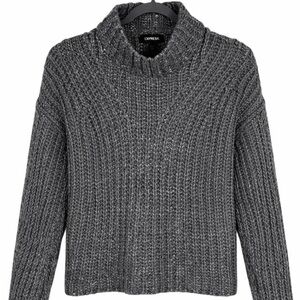 Express Dark Knit Turtleneck Sweater